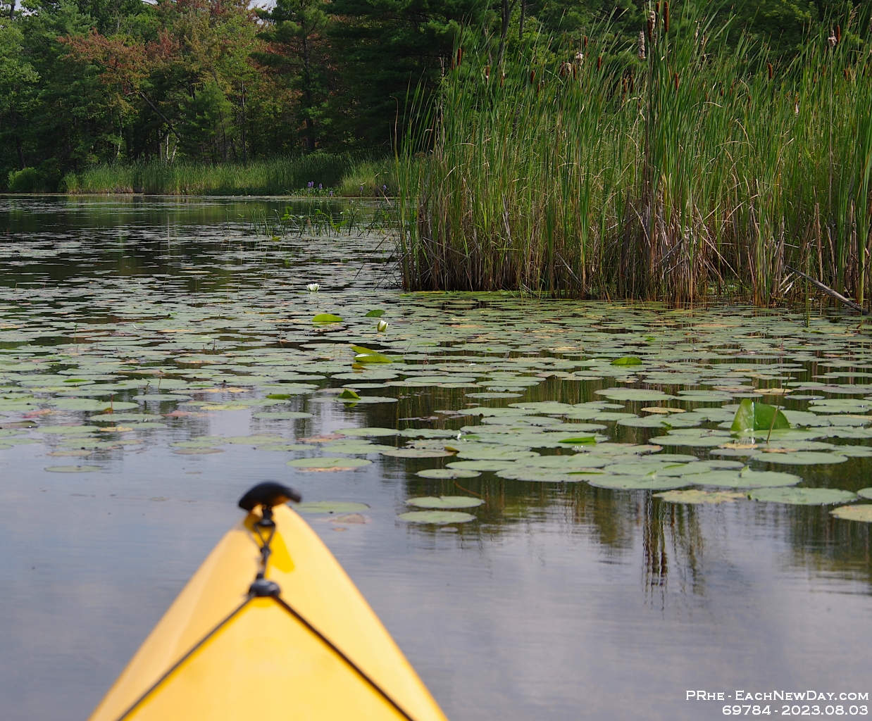 69784RoCrLe - Vacationing at Hammock Harbour - Kayaking the top end of Lake Couchiching and the channels in Washago